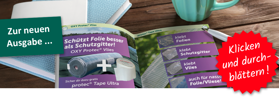 Katalog