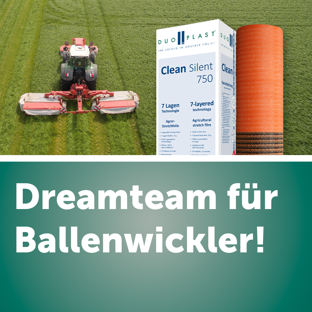 In Ballen