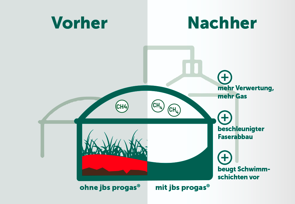 jbs progas im vorher, nachher Vergleich